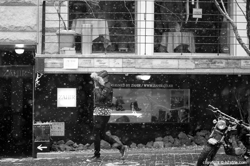 2011, Snowy Day (15)