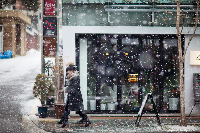 2011, Snowy Day (12)