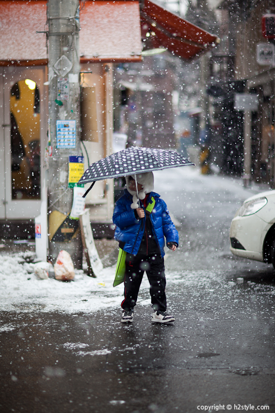 2011, Snowy Day (11)
