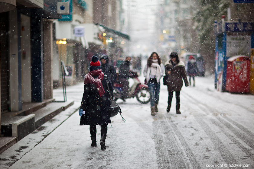 2011, Snowy Day (8)