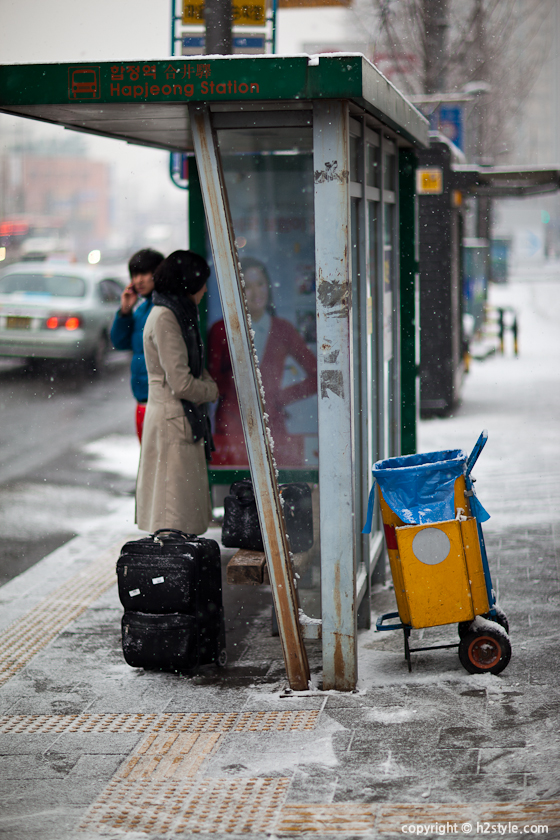 2011, Snowy Day (6)