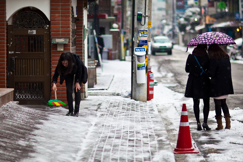 2011, Snowy Day (5)
