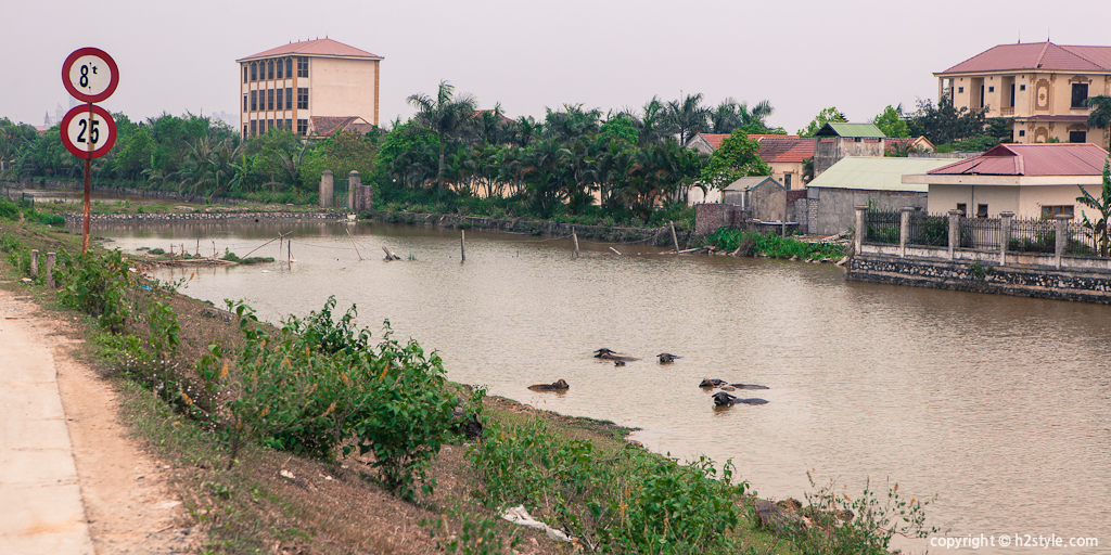 2012, Vietnam (99)