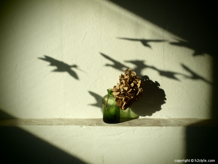 2012, Snapshot (14)