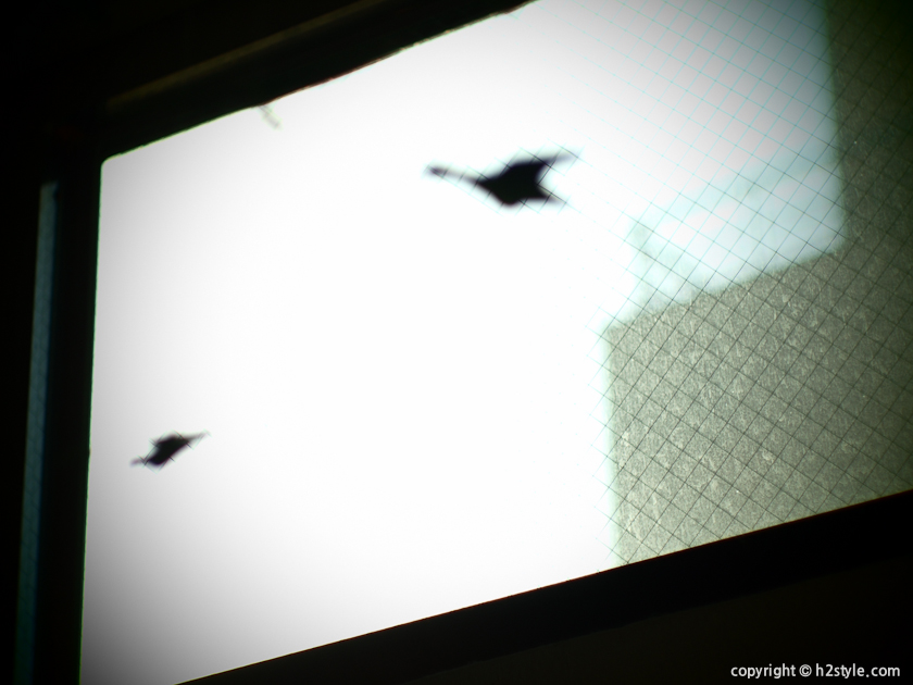2012, Snapshot (13)